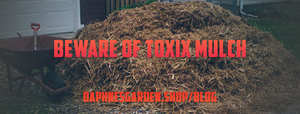 Watch Out Beware of Toxic Mulch
